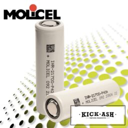 Molicell-21700-battery